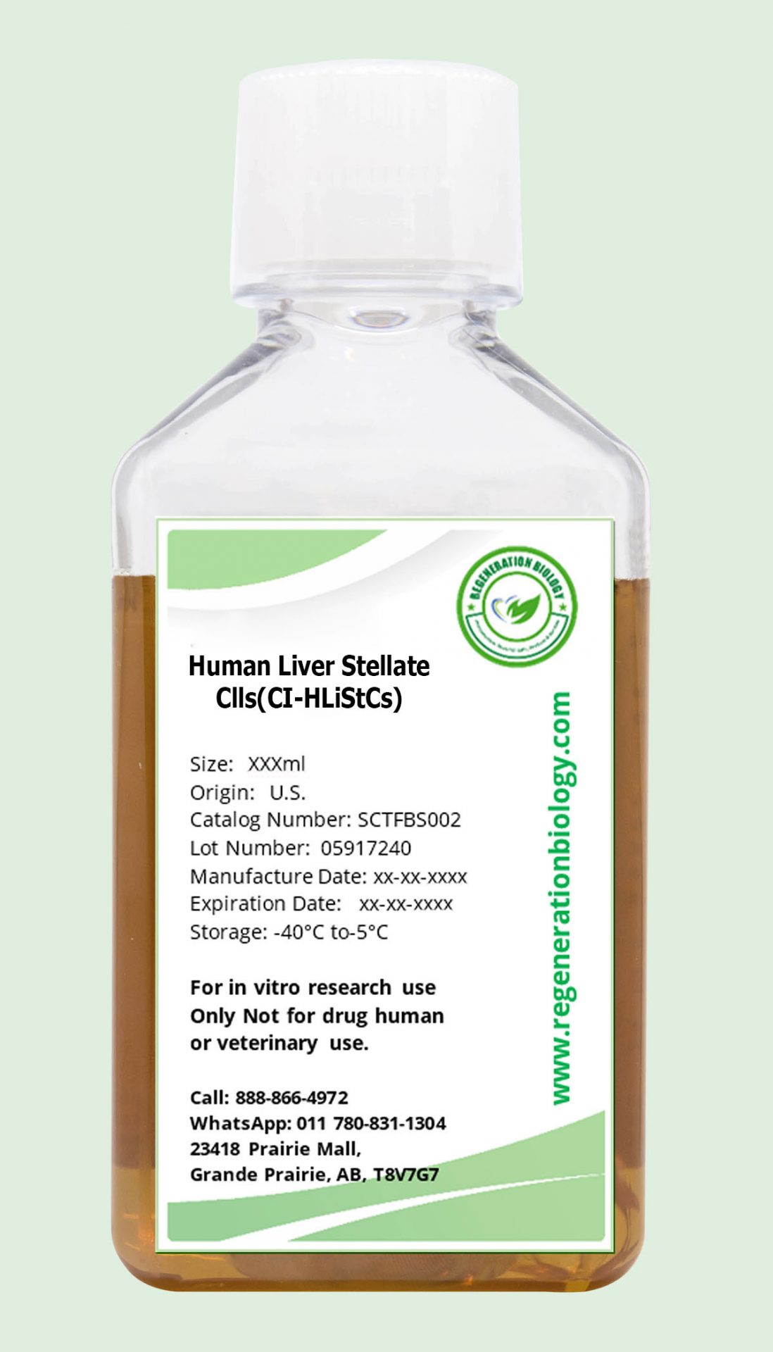Human Liver Stellate Clls(CI-HLiStCs)