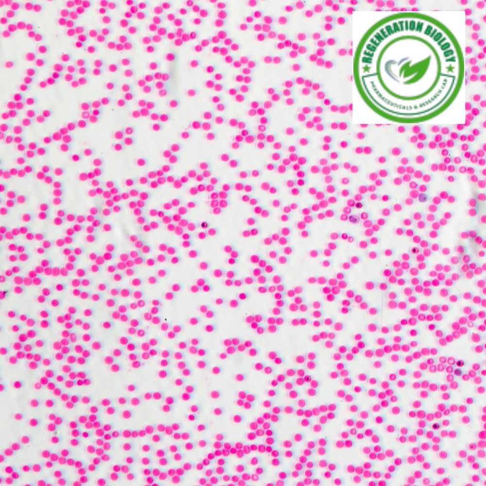 Bovine Collagen (3mg/ml)