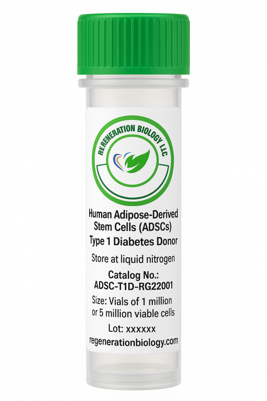 Human Adipose-Derived Stem Cells (ADSCs), Type 1 Diabetes Donor