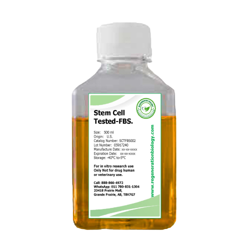 Stem Cell Tested Heat inactivated Fetal Bovine Serum